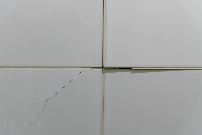 Tile Surface Repair